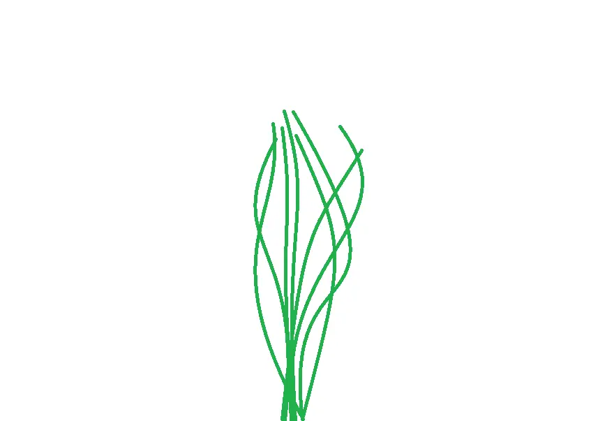Wiggleplant